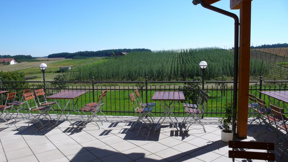 terrassehopfen