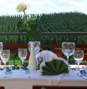 terrassegedeckthopfen