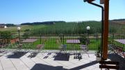terrassehopfen